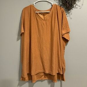 GUC NEW Maurices Brown V-neck Swiss Dot Top 2X